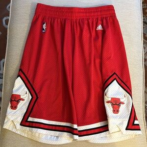 Chicago Bulls adidas vintage mesh shorts, L